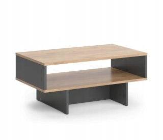 STOLIK KAWOWY ŁAWA 2 POZIOMY LOFT DO SALONU NOWOCZESNY DESIGN