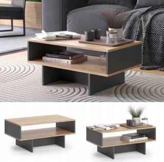 STOLIK KAWOWY ŁAWA 2 POZIOMY LOFT DO SALONU NOWOCZESNY DESIGN